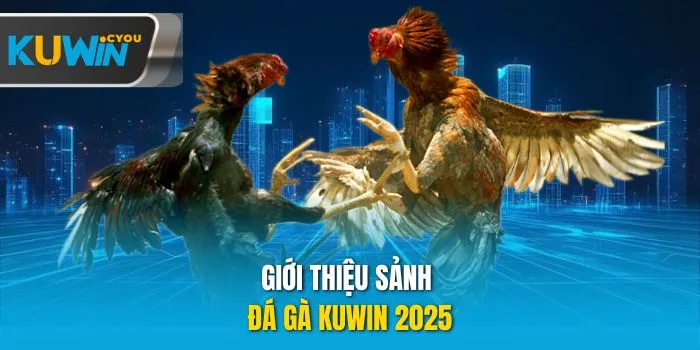 Giới thiệu sảnh đá gà Kuwin 2025